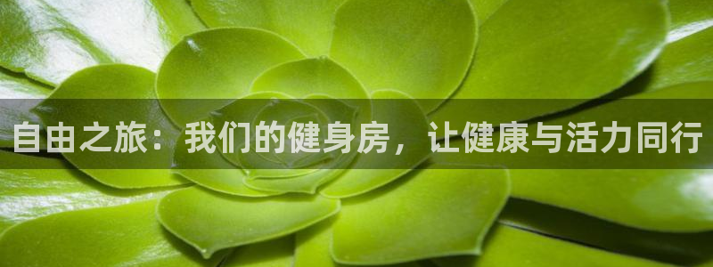 意昂2官方网站