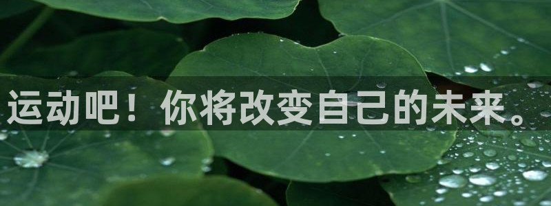 意昂2招商